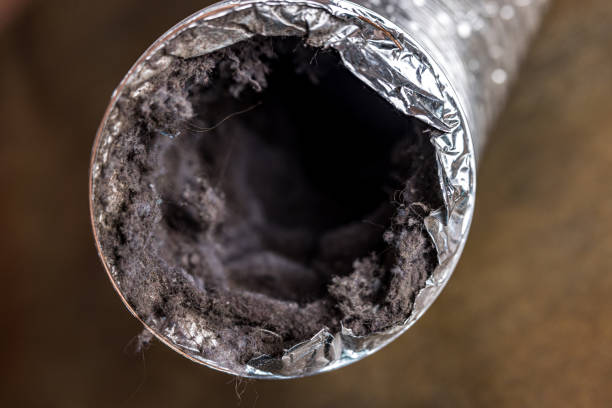 Best Ductwork Cleaning Services  in Avalon, PA